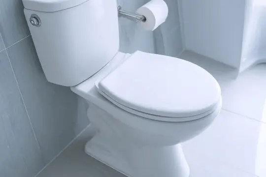 Pose et raccordement WC à Orly – illustration