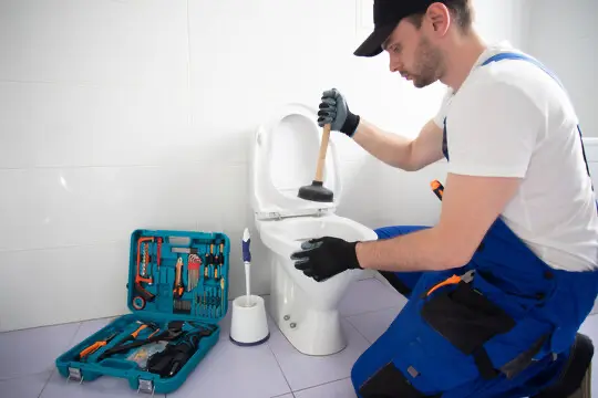 Débouchage WC à Thiais (avant)